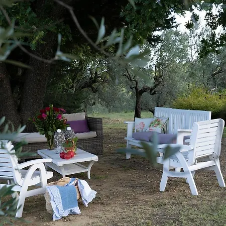 Villa Archipettoli *