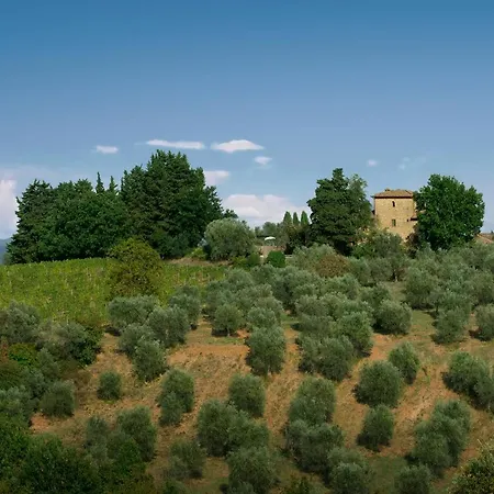 Archipettoli