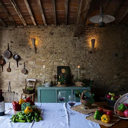 Archipettoli *