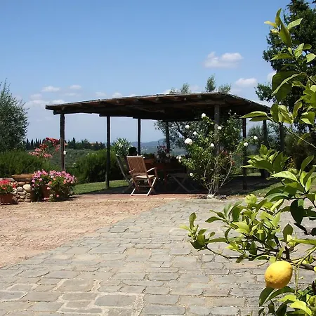Archipettoli