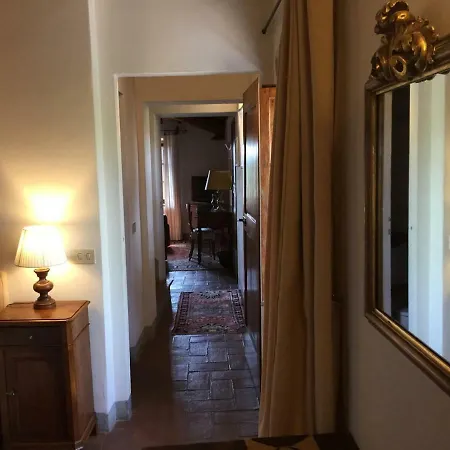 Archipettoli