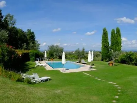 Archipettoli *